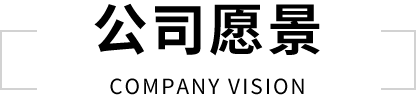 公司愿景
