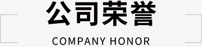 公司荣誉
